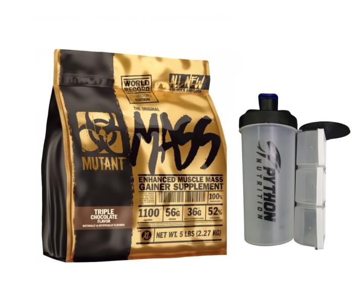 Top 10 Best Protein Powder Philippines 2023 Review