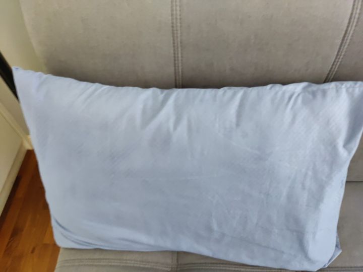 Top 10 Best Pillow Singapore 2022 Review Kim'z House