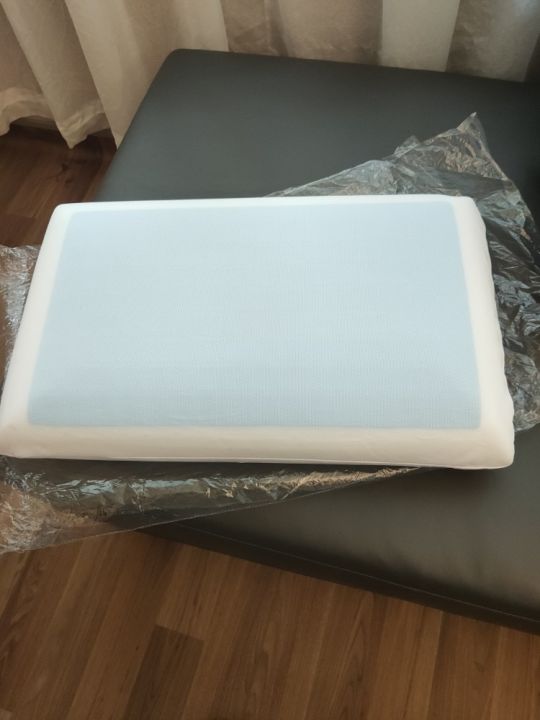 Top 10 Best Pillow Singapore 2022 Review Kim'z House